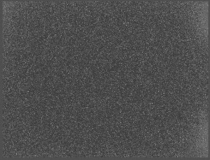16001 300x228