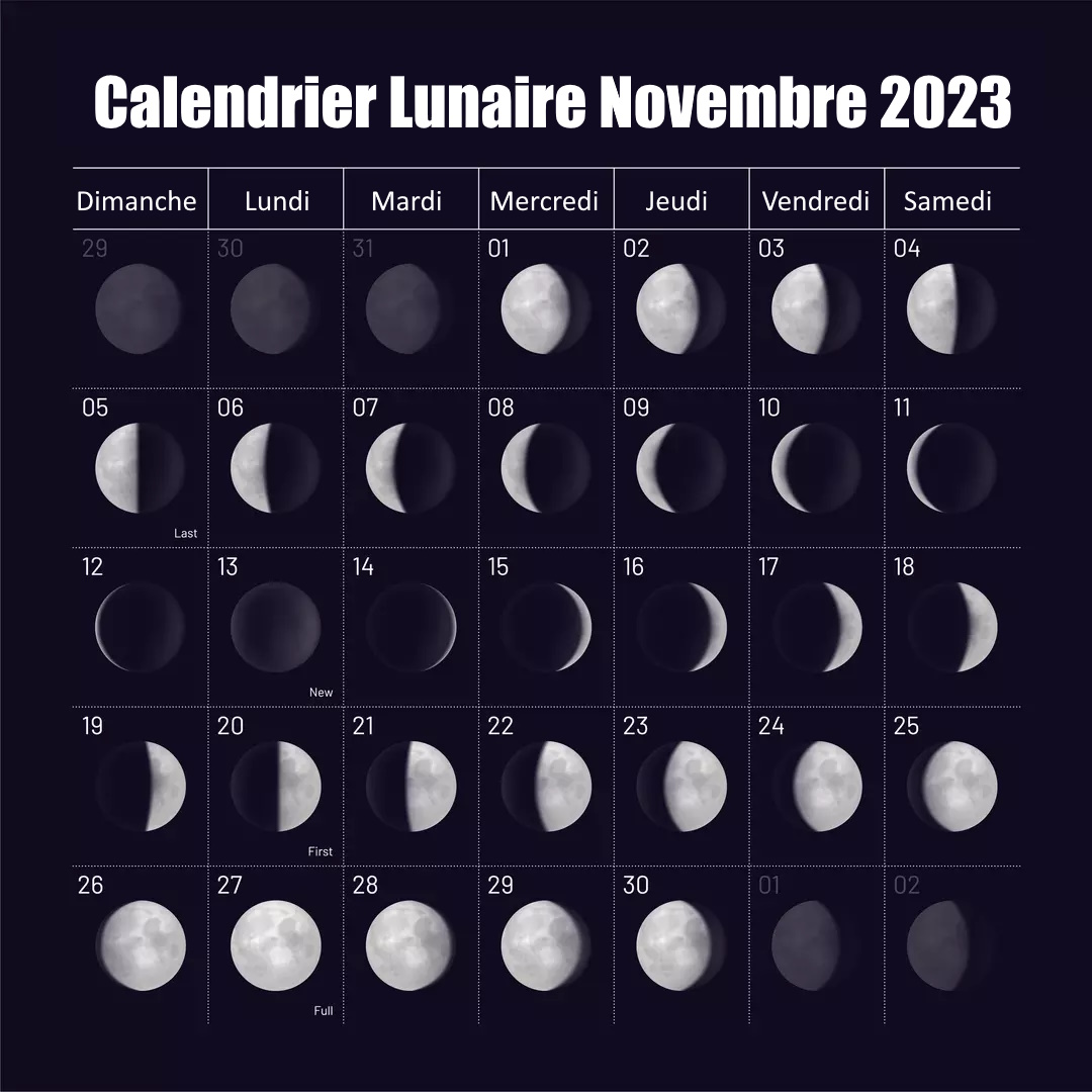 calendrier novembre 2023