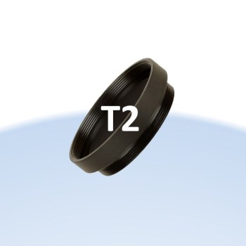 T2