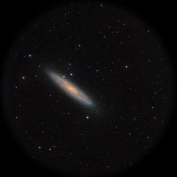 10161