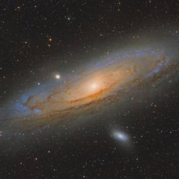 29299