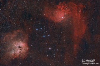 Nexus_FlamingTadpole_6f3_1200x802