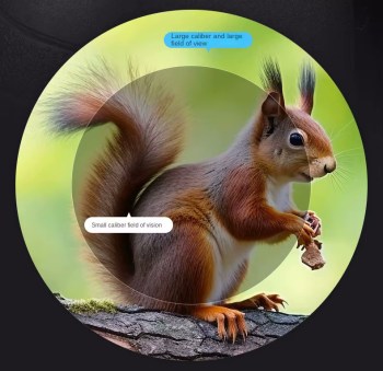 S0d3a2edc6f904302922532aed7fd2ad51