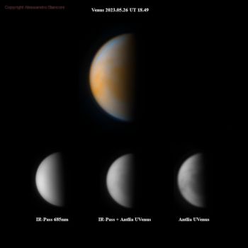 U-Venus-Example