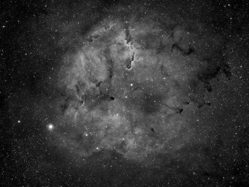 photoline60-ic1396-tsred279-andew-harrison-1000