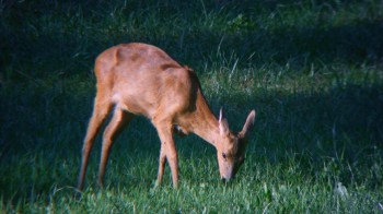 tsed80-spotting-scope-result-10002