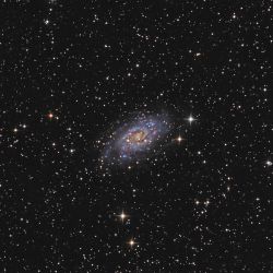 2013 04 NGC2403