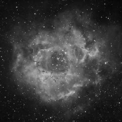 Rosette nebula